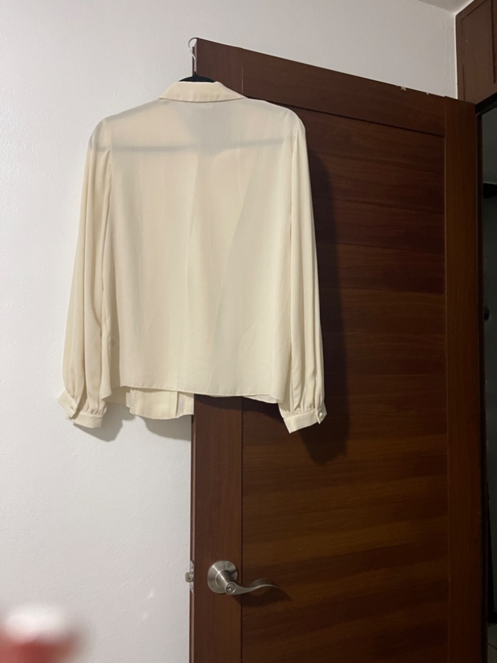 Zara Sheer Long-Sleeve Top, Romantic Pleated Front, NWT - Picture 3 of 5